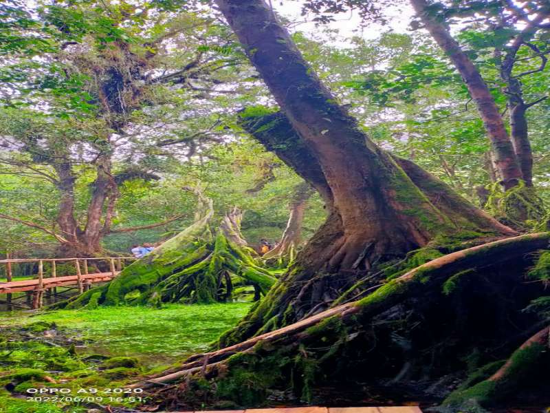 Wisata Kali Barupi (negeri dongeng Kabupaten Biak Numfor)