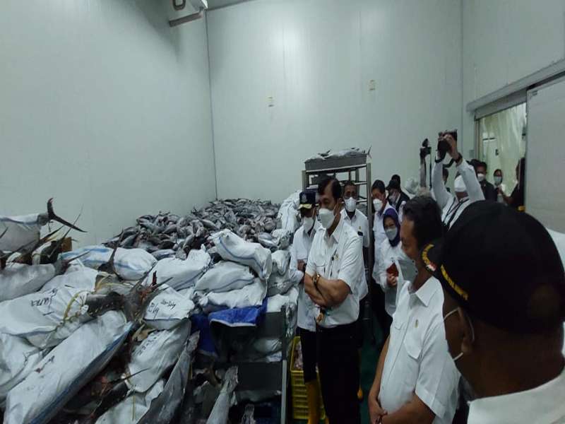 Peninjauan SKPT oleh Menko marves di Kab Biak Numfor 