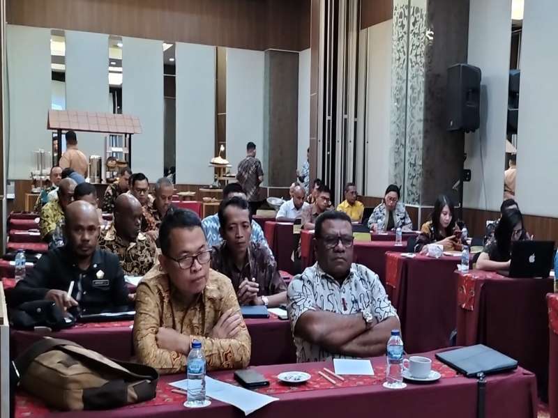 KEGIATAN MCP KPK DI JAYAPURA DIIKUTI KADIS DPMPTSP 