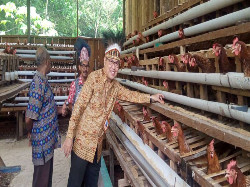 KADIS DPMPTSP MELAKUKAN KEGIATAN PANEN TELUR SEKALIGUS PERBANTUAN PERIJINAN 